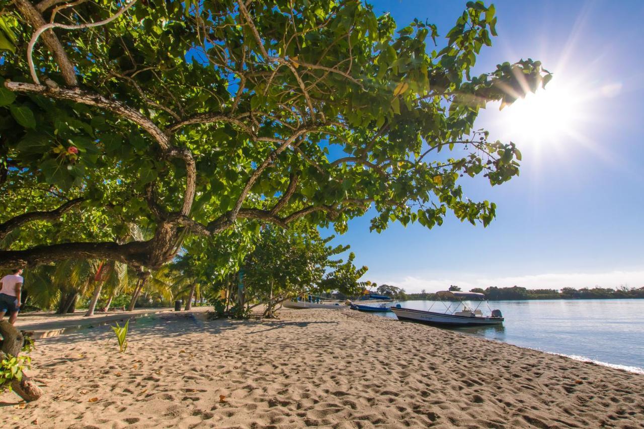 Khalkob'S Estate Leilighet Placencia Eksteriør bilde